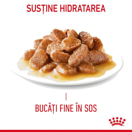 Royal Canin Urinary Care – Hrană Umedă pentru Pisici Adulte în Sos – 85 g
